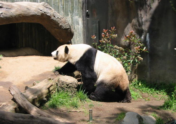 San Diego Zoo